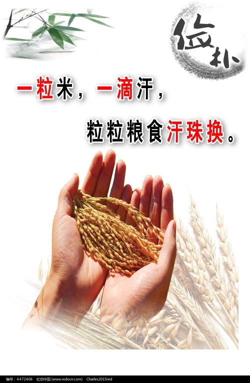 托木斯克国立系统控制和无线电电子技术大学成绩单修改
